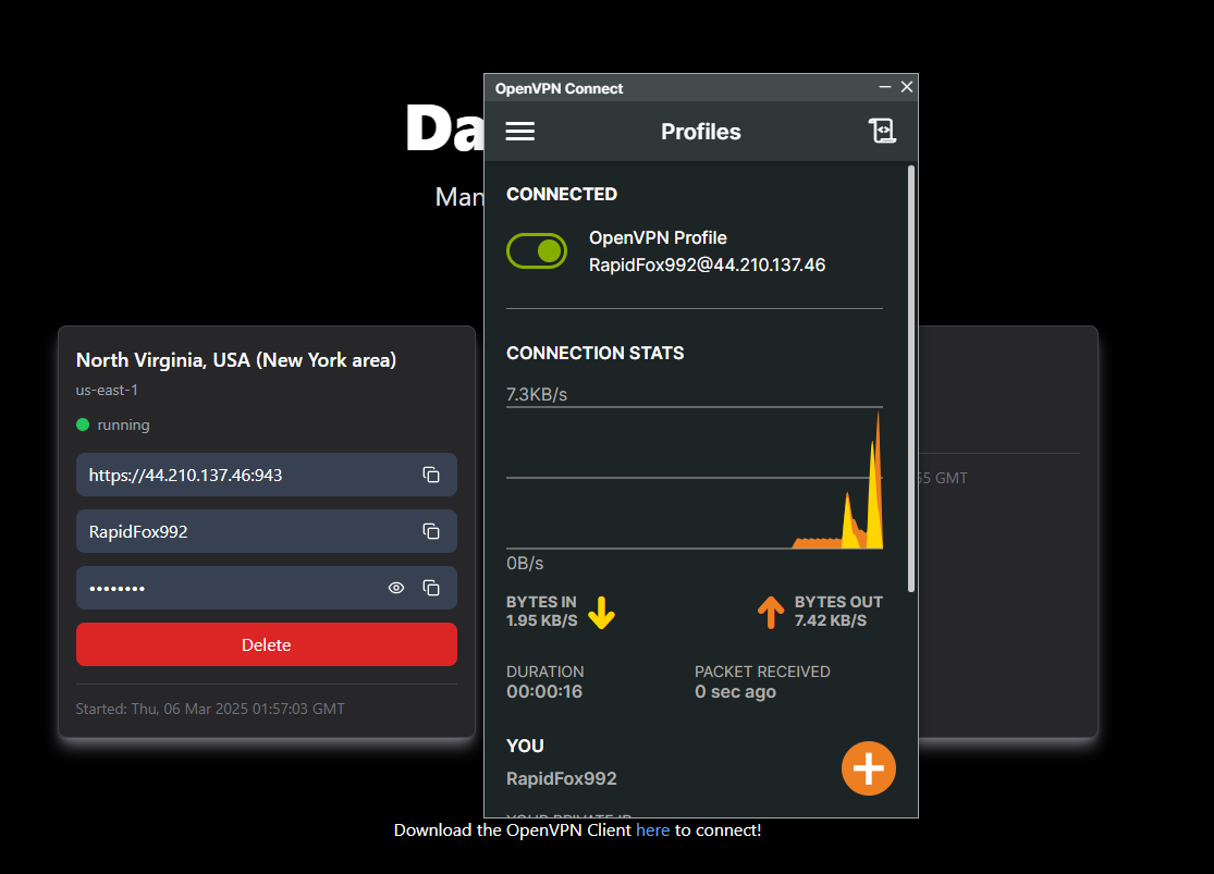 4. Connect Through the OpenVPN Client